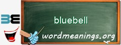 WordMeaning blackboard for bluebell